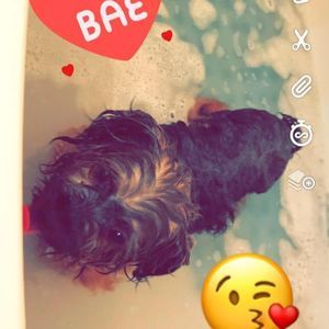 Meet your Posher, Angelee